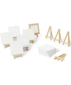 10pk Paintapalooza Stretched Canvas Party Pack - Mondo Llama™